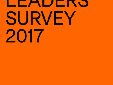 2017 District Leader Survey