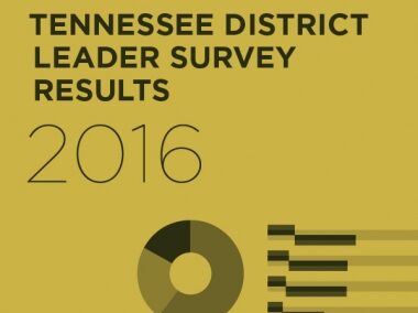 2016 District Leader Survey